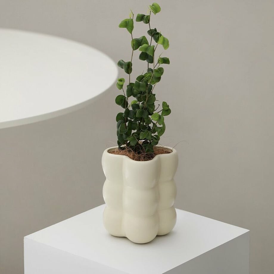 Nordic Creative garden succulent pots home balcony electroplate ceramic bubble round plant flower bud pot manufacture