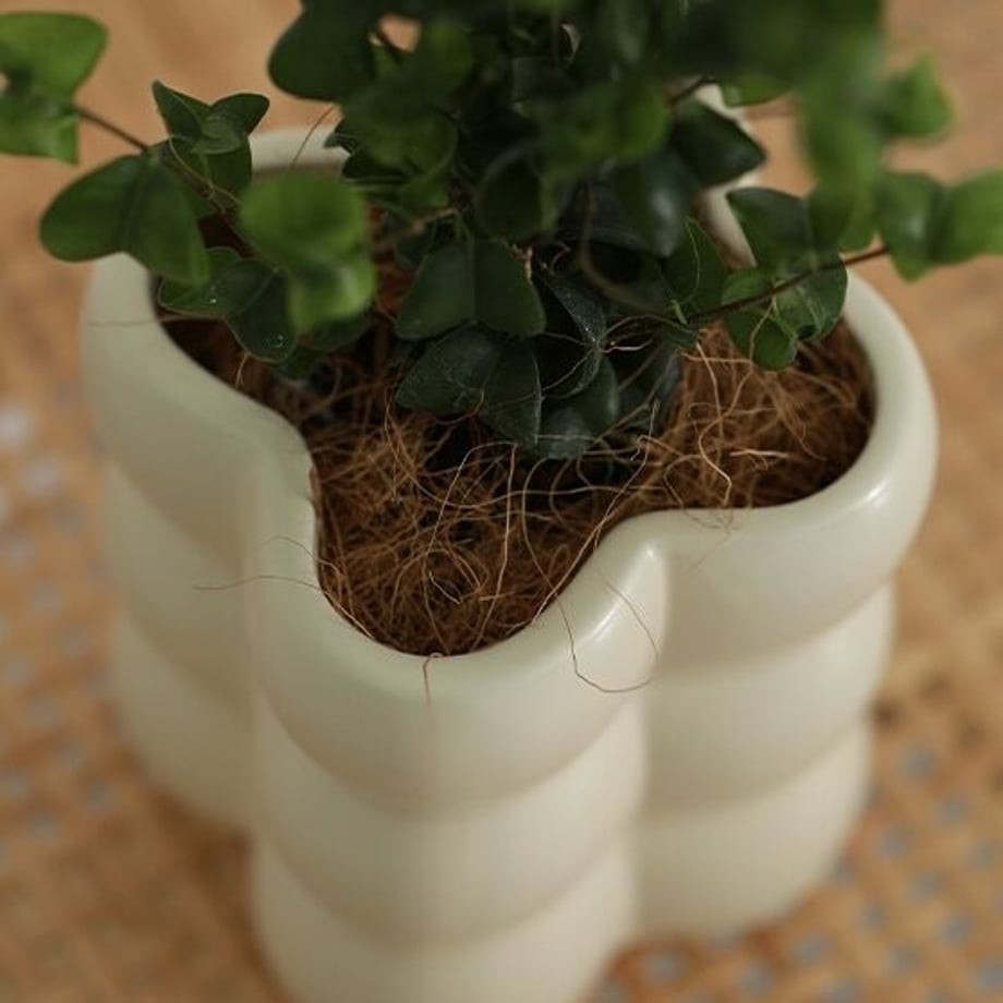 Nordic Creative garden succulent pots home balcony electroplate ceramic bubble round plant flower bud pot manufacture