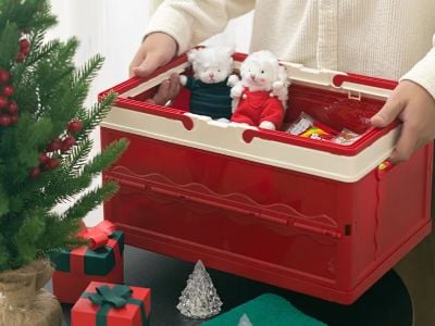 Why Import Plastic Storage Basket Products for Home Organizing?