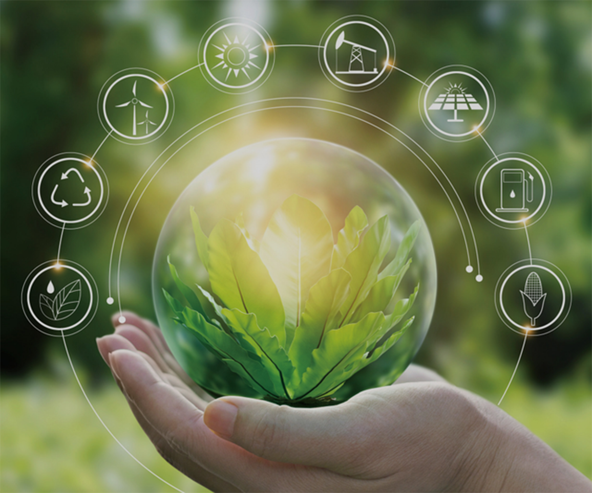 Cultural Sustainability