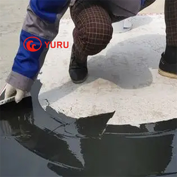 Prevent Leaks and Mold Growth with Roof Waterproofing Pain