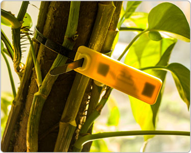 product waterproof reusable rfid seal tag uhf rfid plastic seal tie tags with multi size cable label-4