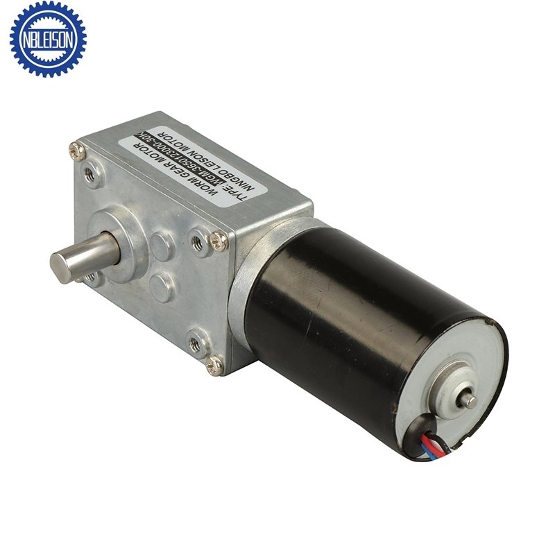LS-TWG4058-TEC3650 DC Worm Gear Motor