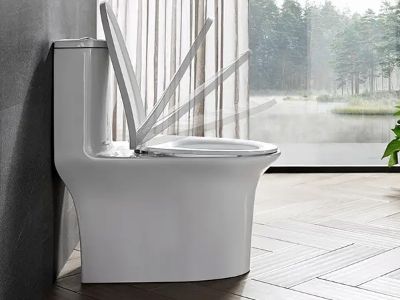 Everything You Need to Know About Choosing the Right Toilet