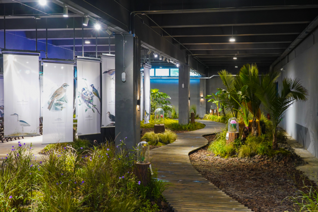 WhiteCat Exhibition Hall