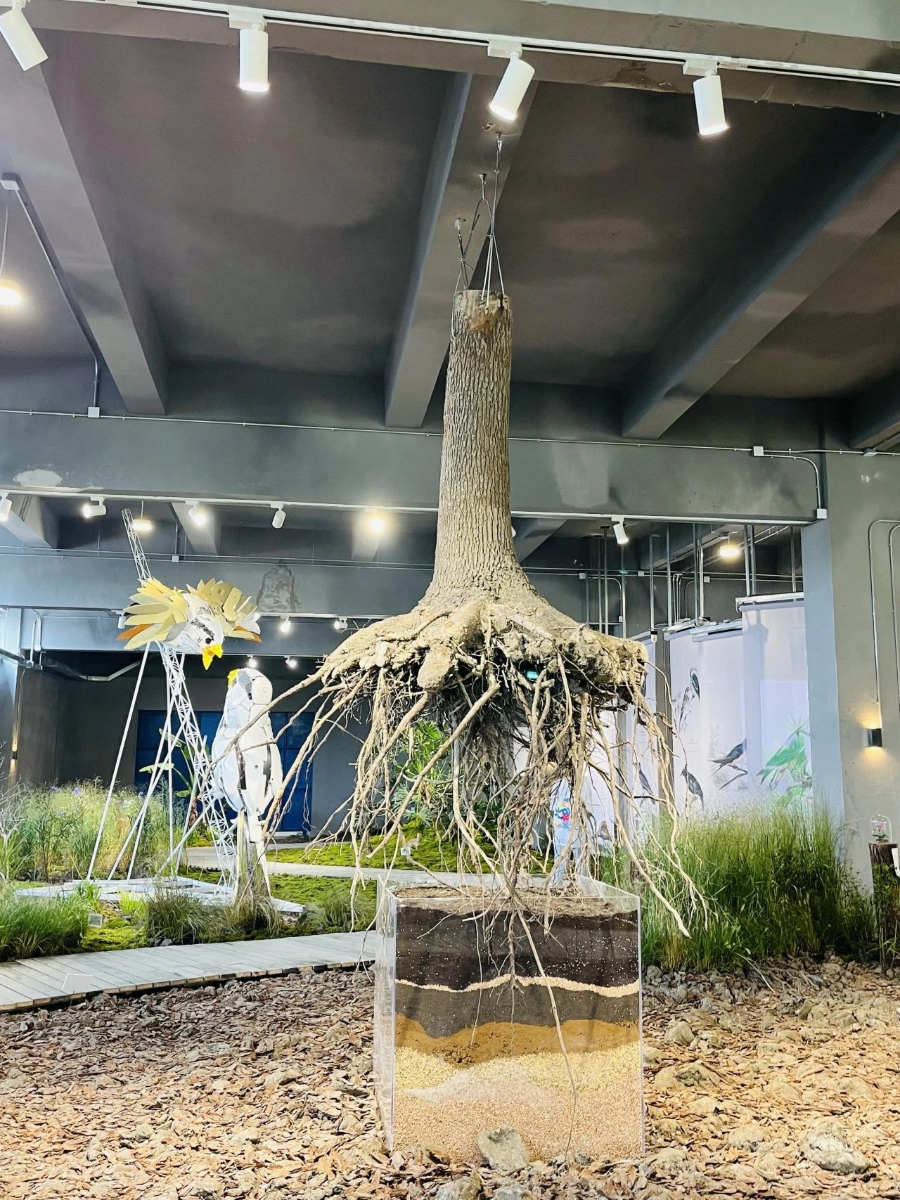 WhiteCat Exhibition Hall