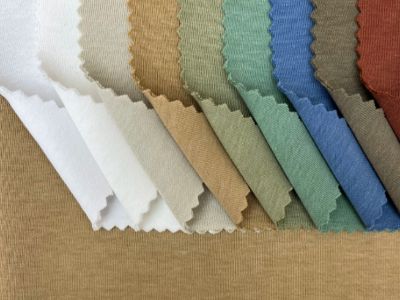 Cách nhìn nhận tương lai của nhân loại: Sống cùng với Trái Đất