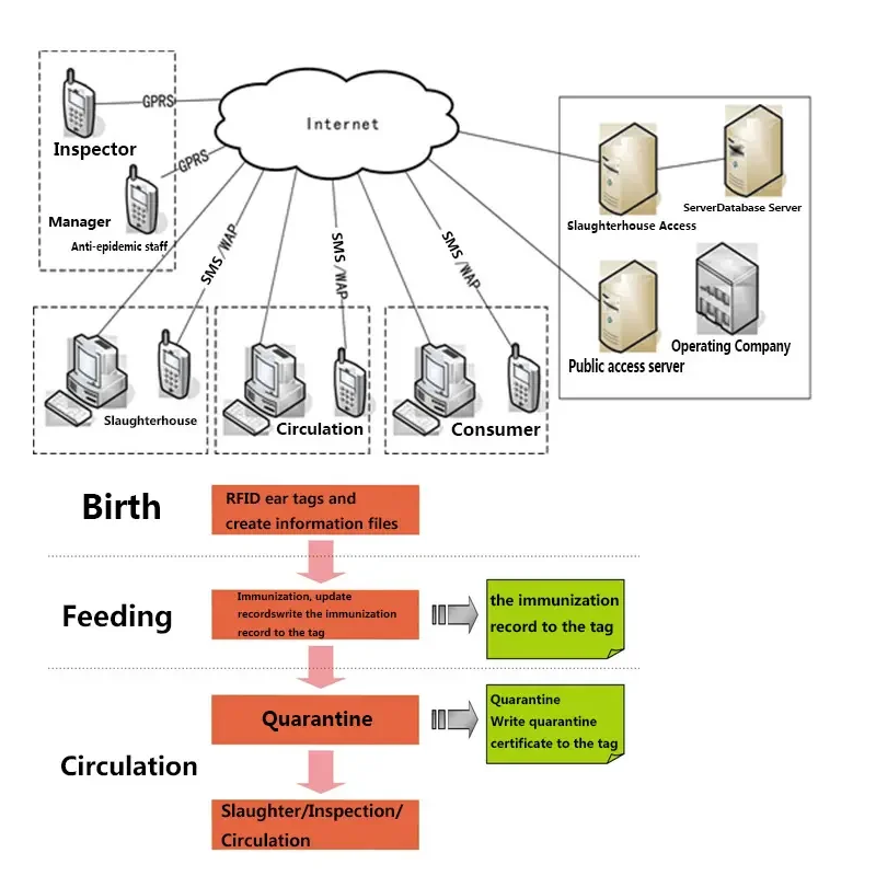 System Design