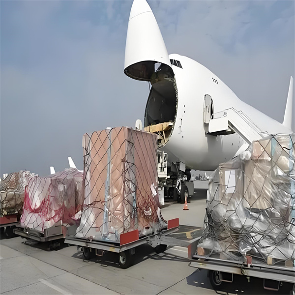 Brückenbau zwischen Unternehmen und globalen Märkten durch nahtlose Logistikunterstützung