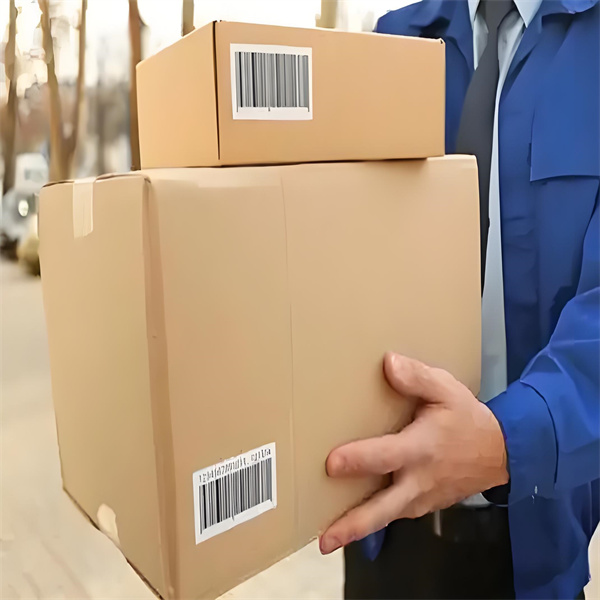 Maßgeschneiderte Versandoptionen, die Ihren Bedarf entsprechen