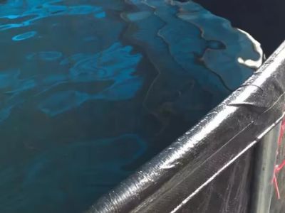 مستقبل قماش التاربولين في الحلول الصديقة للبيئة