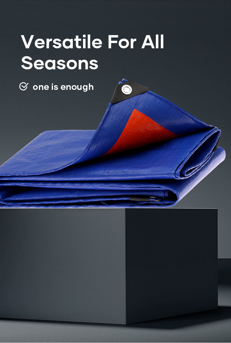 SP Agricultural Flame Retardant Ground Cover PE Woven Sheet Anti Grass Cloth Tarpaulin For Planting details