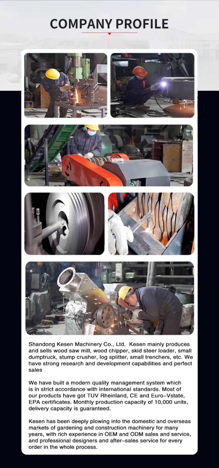 Low Price Wood Cutting Bandsaw Heavy-duty Max Sawing Diameter 1000mm Saw Mill  For Big Logs supplier