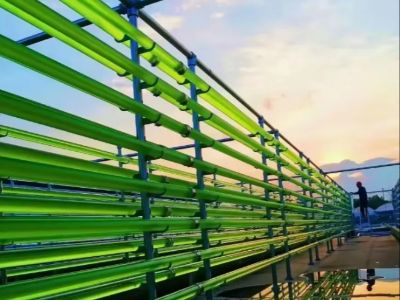 Innovations in Plastic Extruded Tubes: Trends to Watch in 2025