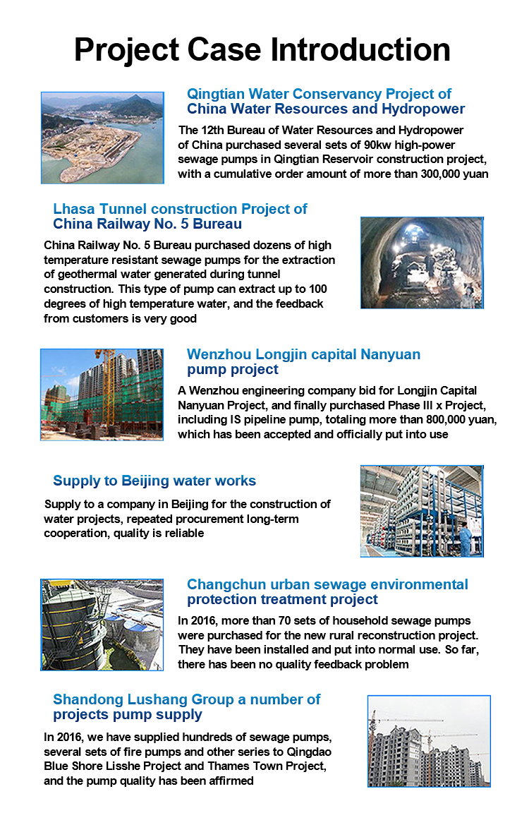 High Temperature New Type Submersible Pump For Fishing Farming Equipment factory