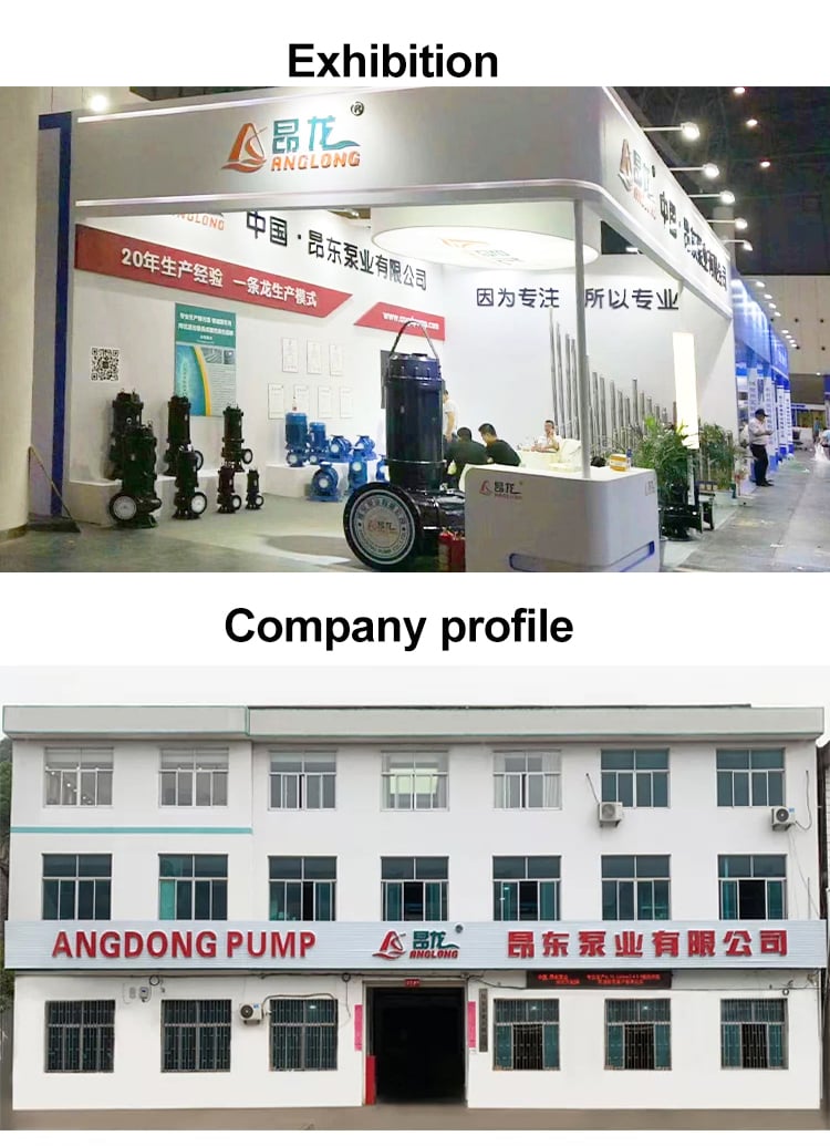 Anglong Factory Solar Submersible Pump Large Flow Agricultural Irrigation Dc Deep Well Pump supplier