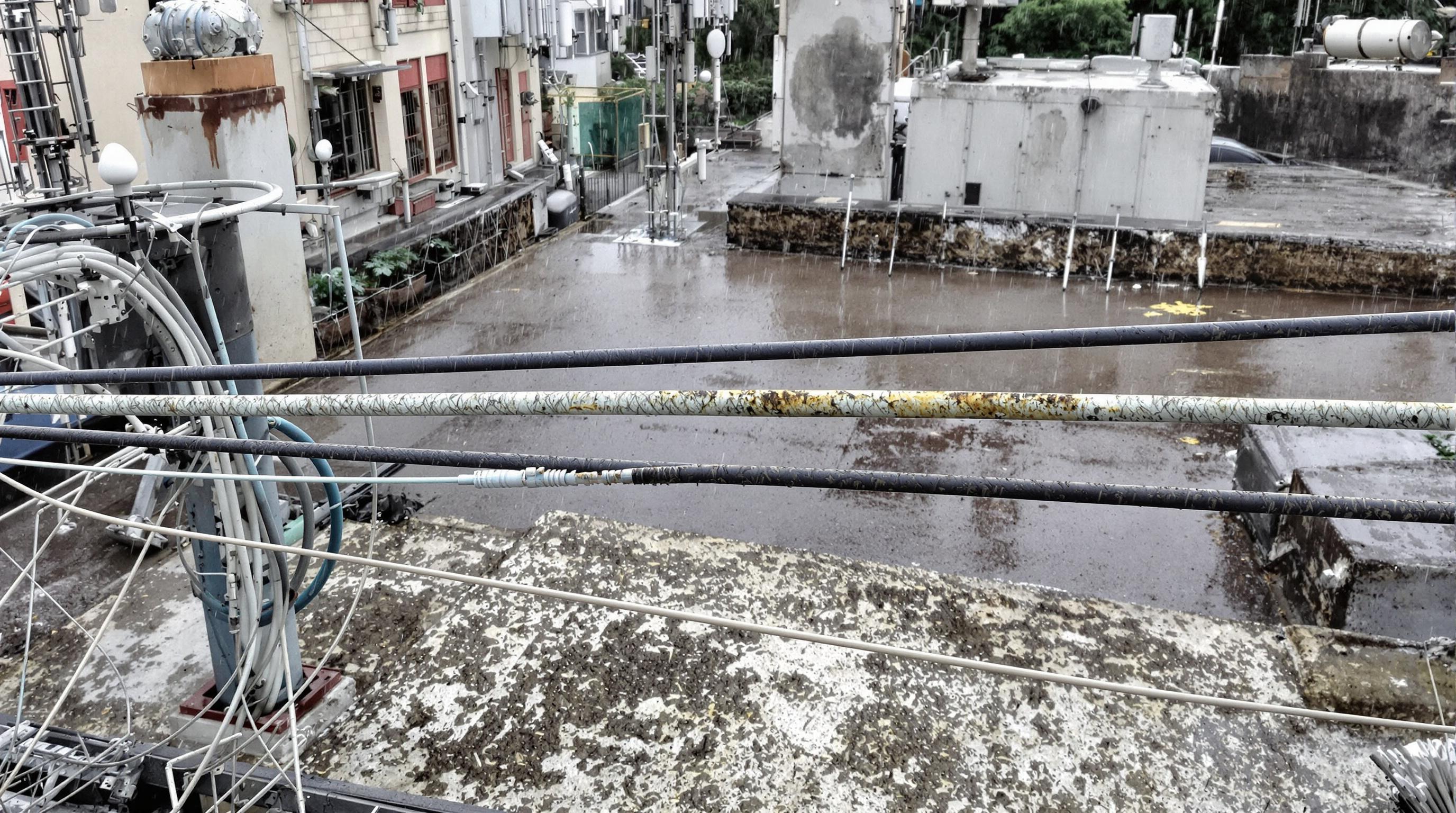 Urban rooftop network cables with visible corrosion on unjacketed CCA wire and intact copper wire in rainy conditions