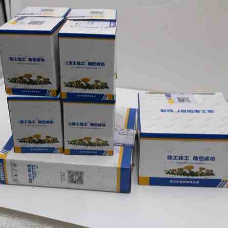 XCMG Wheel loader Road Roller Motor Grader Spare parts