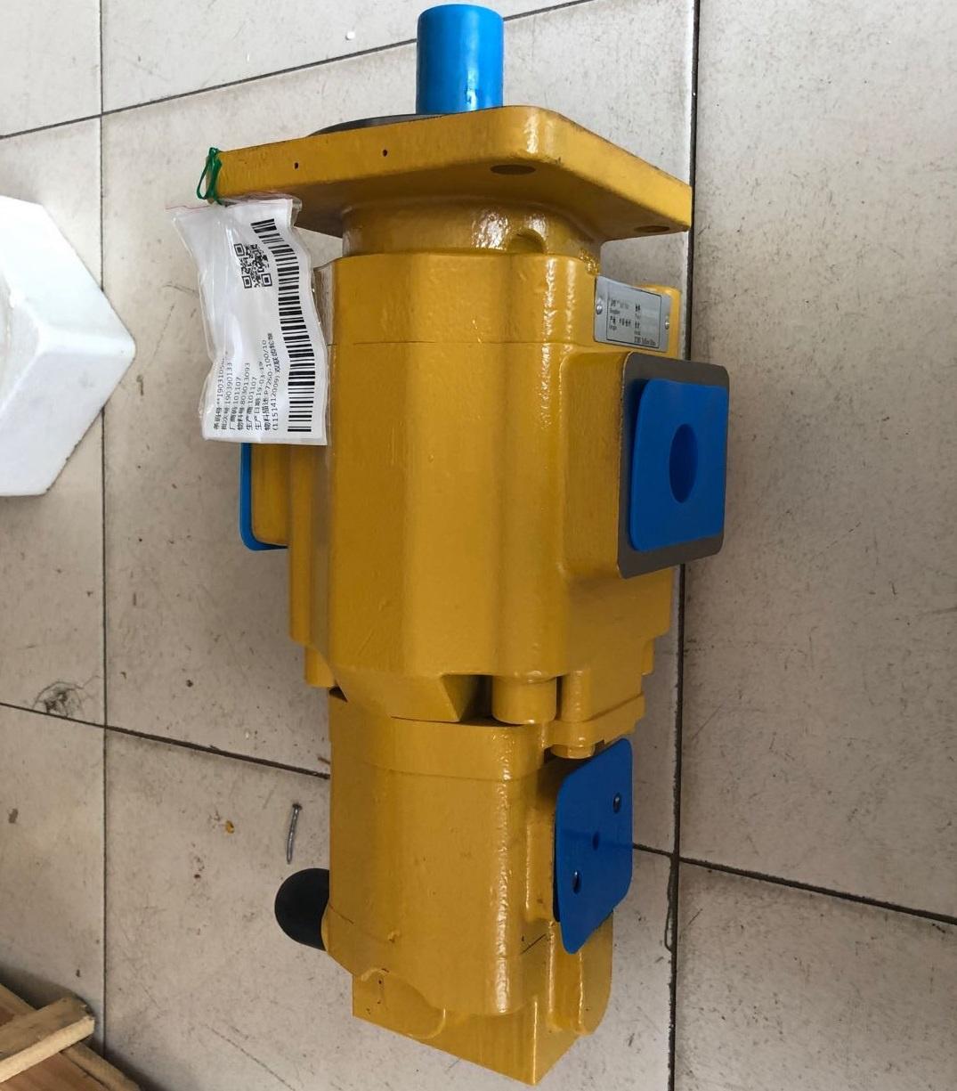 Hydraulic Pump 803013093 manufacture