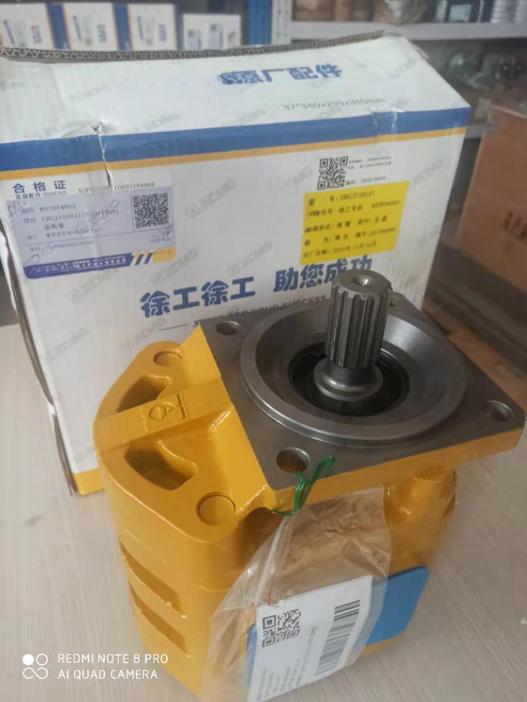 Hydraulic Pump 803013093 details