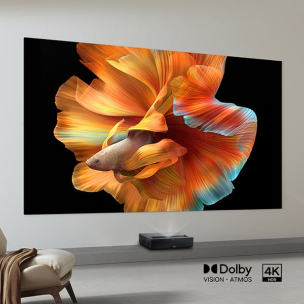 Tạo rạp chiếu phim tại nhà với màn hình chiếu 110 inch