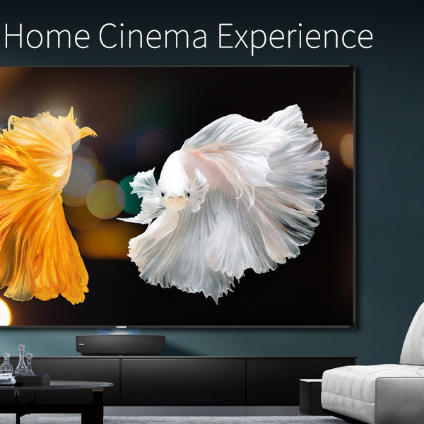 Màn Hình Projector Treo Tường