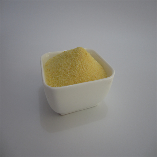 A Importância do Adubo Solúvel em Água para a Absorção de Nutrientes das Plantas de Interior