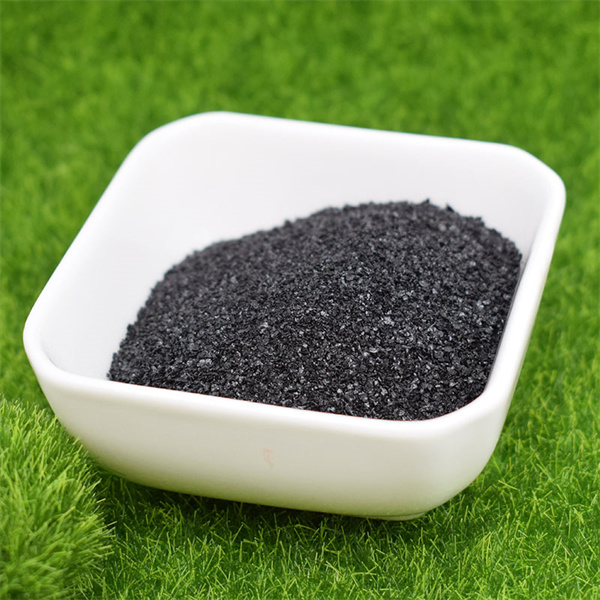 Engrais soluble biologique respectueux de l'environnement pour un jardinage durable
