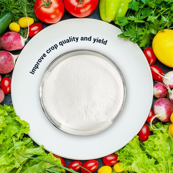 Menjamin Penyerapan Nutrisi Optimal dalam Budidaya Hidroponik.