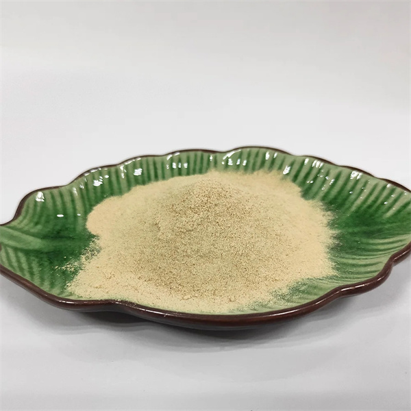 Intégrez facilement la poudre de protéine de poisson dans votre routine quotidienne pour un boost nutritif et pratique.