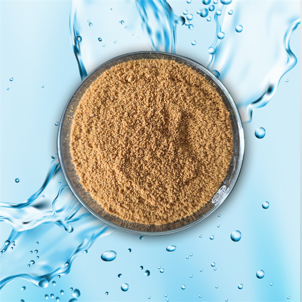 Chlorure de polyaluminium dans la purification de l'eau