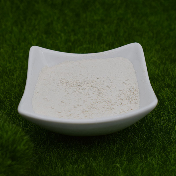 Effective Plant Feeding Made Simple with Water-Soluble Fertilizer