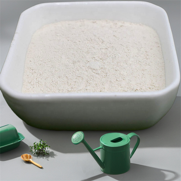 Fournisseur écologique de chitosan promouvant des solutions durables