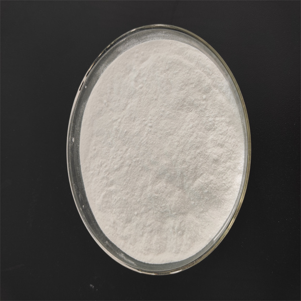 Plant growth regulators কিভাবে কাজ করে তার বিজ্ঞান