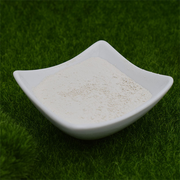 Revitalize Your Garden with Water-Soluble Plant Nutrients