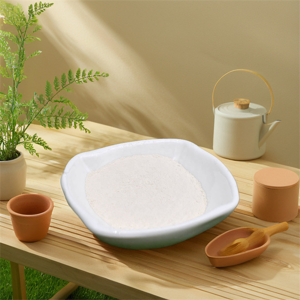 Ufanisi wa Chitosan Powder