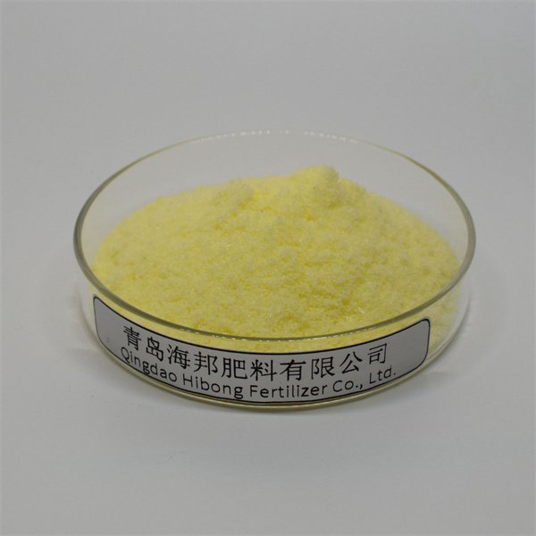 Achieving Optimal Nutrient Absorption with Water Soluble Fertilizers