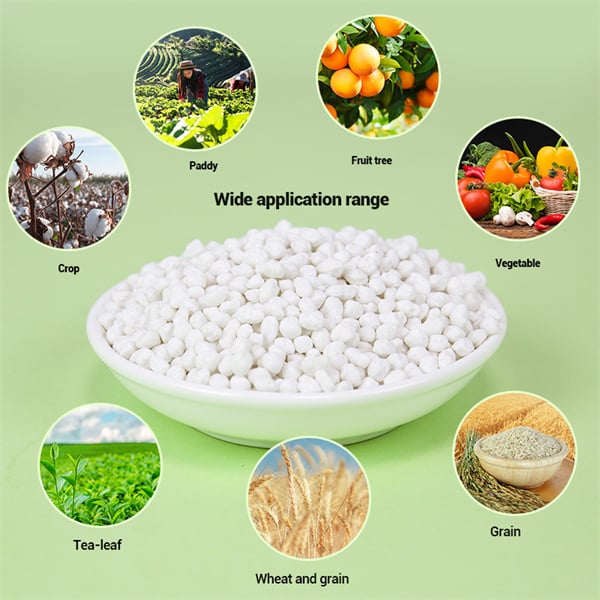 Enhancing nutrient uptake with liquid ammonium sulfate fertilizer