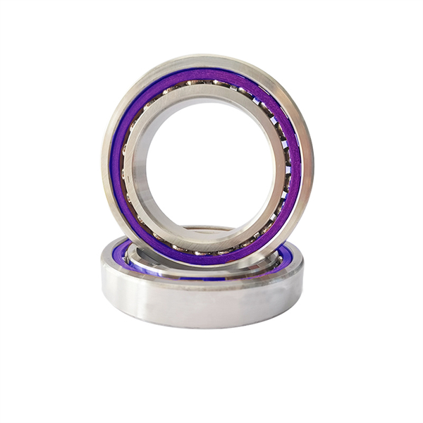 The Ball Screw Bearing
