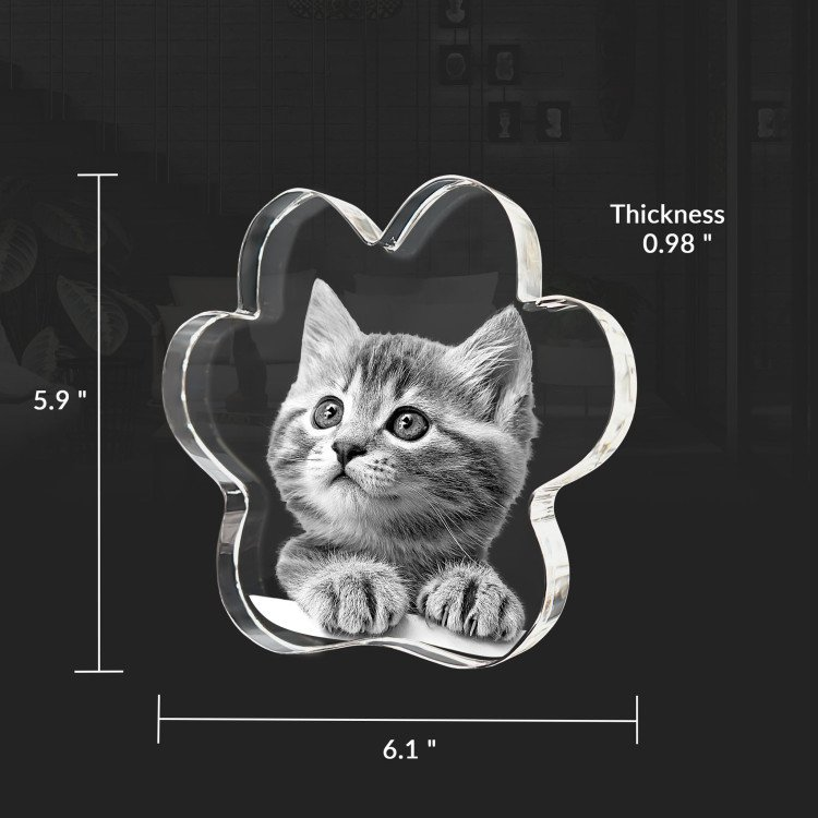 Shining Custom Crystal 3D Laser Engraved Pet Paw Shape Crystal Block for souvenir gift details