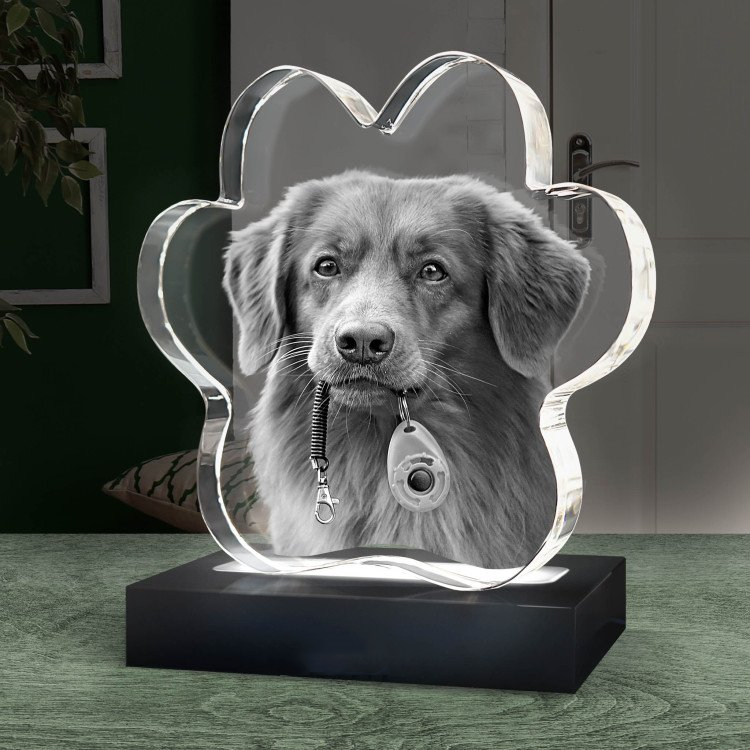 Shining Custom Crystal 3D Laser Engraved Pet Paw Shape Crystal Block for souvenir gift factory