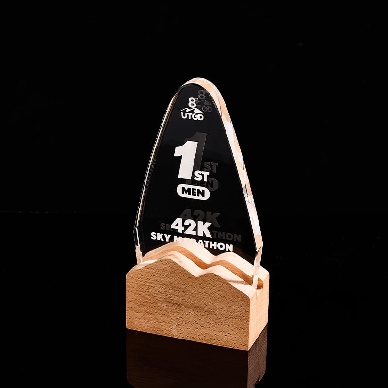 2024 fashion wooden and crystal trophy glass award Souvenir gifts Meeting Gift Table decoration factory