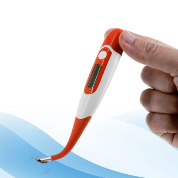 Wie viel sollten Sie für ein Hundethermometer bezahlen?