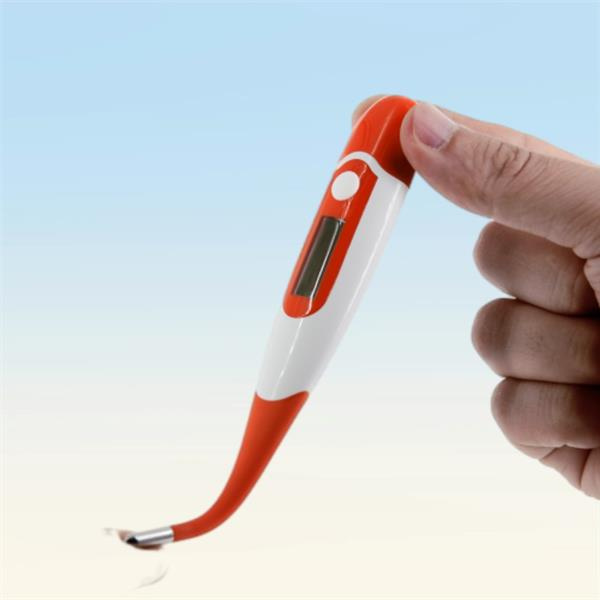 Kiedy używać termometru dla psa i kiedy skontaktować się z weterynarzem
