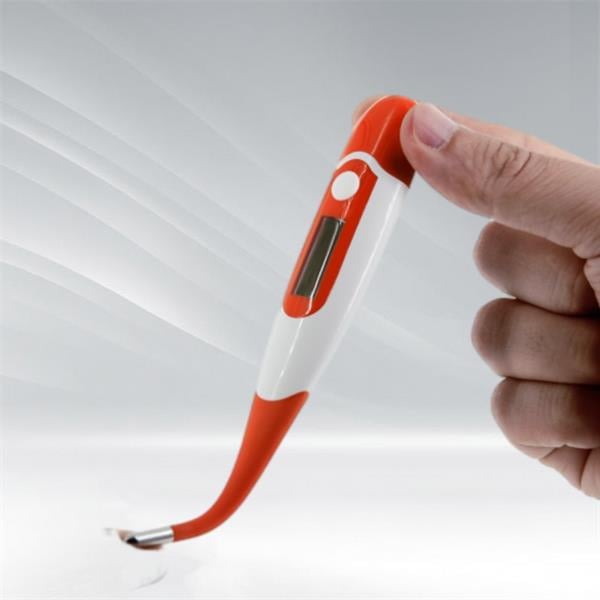 Wann ein Hundethermometer verwendet werden sollte und wie die Ergebnisse interpretiert werden