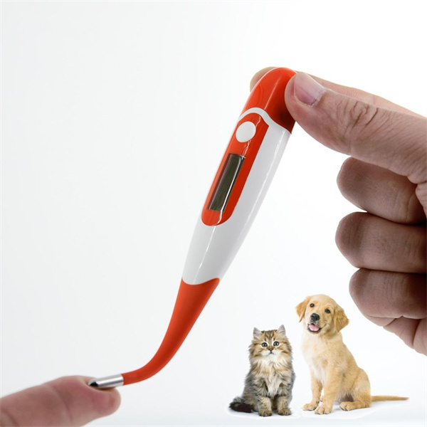 Pantau Kesehatan Anak Anjing Anda dengan Mudah Menggunakan Termometer