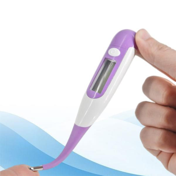 Die praktische Lösung zur Überwachung der Gesundheit deines Haustieres – Digitale Tierthermometer