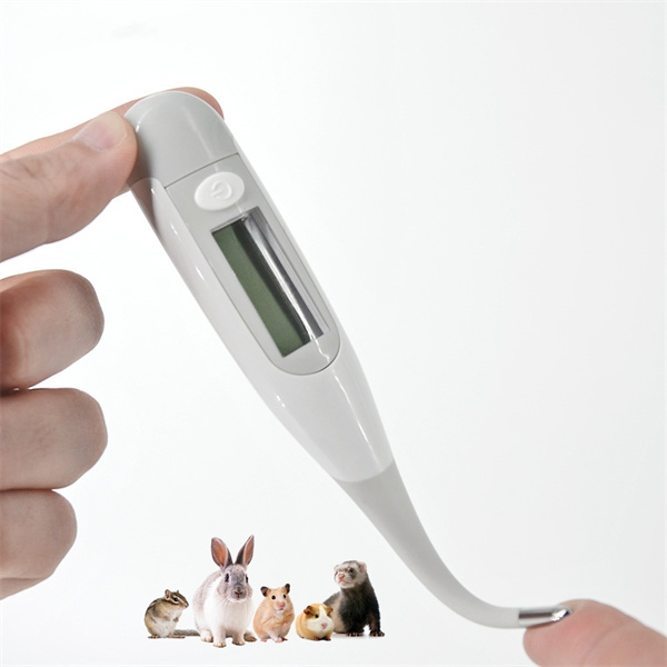 Auswahl des richtigen Thermometers für Ihren pelzigen Freund