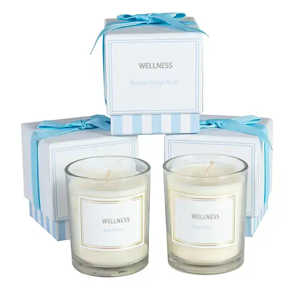 ODM/OEM Wholesale Customized Home Decor Luxury Scented Soy Wax Candles And Air Freshener Perfume Reed Diffuser Gift Set factory