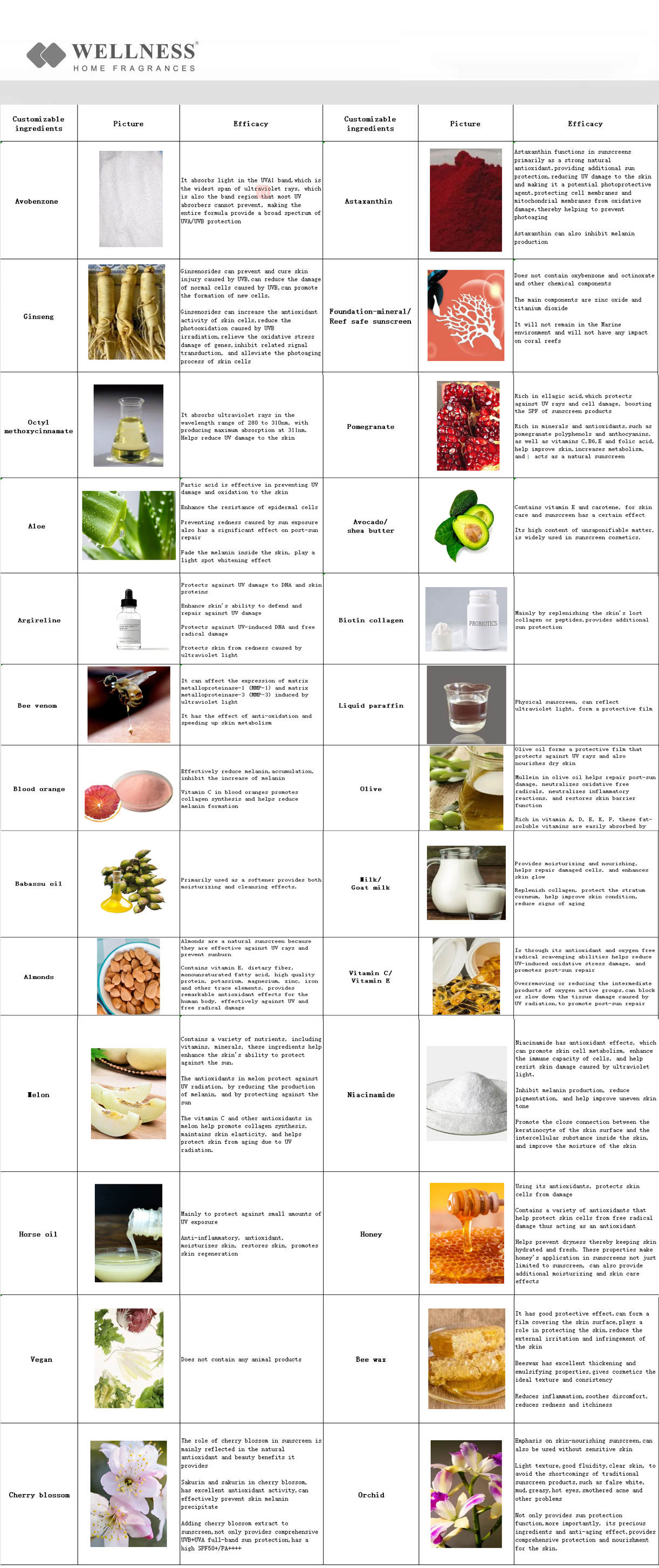 Sunscreen Wholesale Private Label Skin Moisturizing Vegan Organic Facial Brightening Whitening Hydration SPF 50 Sunscreen factory